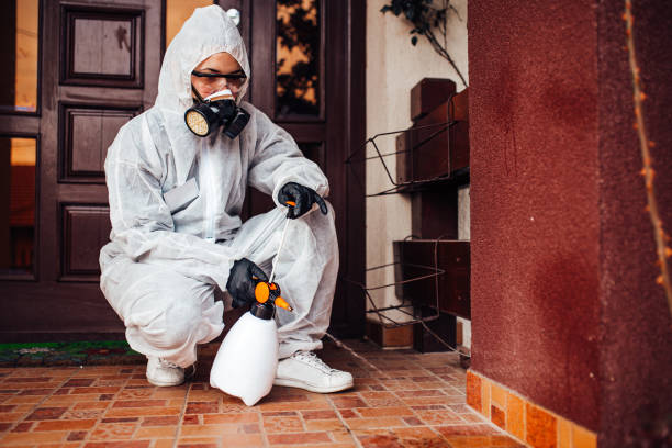 Reliable Wasp Removal contractor in Berea, KY by Show Me Pest Control